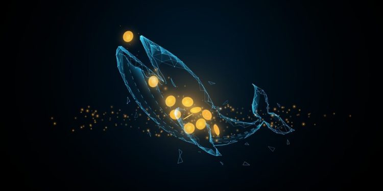 BTC Balinaları Likidite Çıkışında; Trezor, Coin Mixer’ı Donanım Cüzdanına Getiriyor