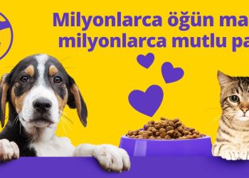 Getir’den Sokak Hayvanlarına 1 Milyon Kap Mama