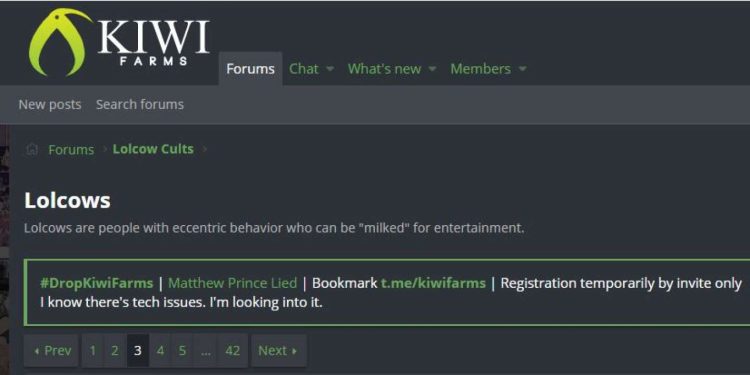 Homofobik Kampanyalar Düzenleyen ABD Merkezli Kiwi Farm Hacklendi