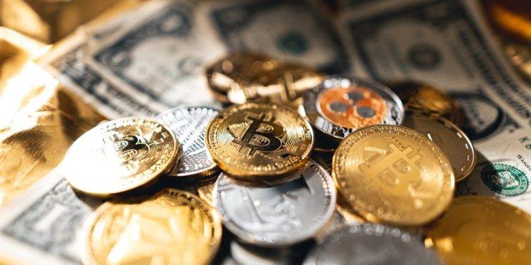 Ayı Piyasasında 12.000’den Fazla Kripto Paranın Kullanımı Durdu