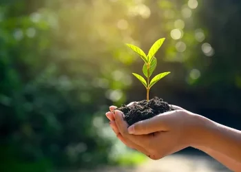 SAP Genç Profesyoneller Programı Yeni Dönem Mezunlarını Verdi