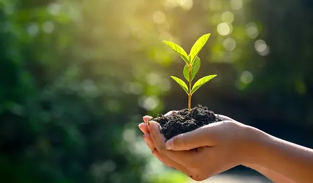 SAP Genç Profesyoneller Programı Yeni Dönem Mezunlarını Verdi
