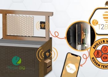 Kadın Girişimi Tech2bio – Akıllı Kovan Teknolojileri Arıcılık Sektörüne Yeni Bir Soluk Getirmeye Hazırlanıyor