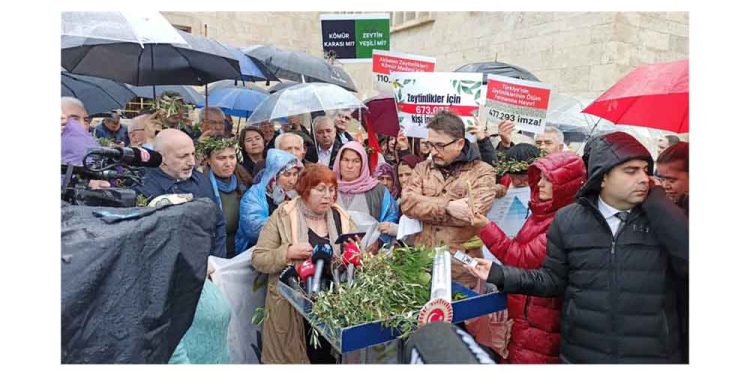 Zeytinime Dokunma Diyen 600.000 Kişinin İmzası Meclis’te!