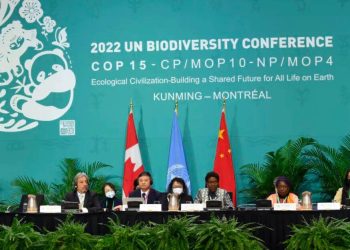 COP15 İkinci Aşama Üst Düzey Toplantısı Sona Erdi