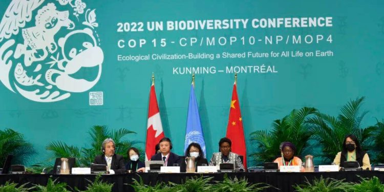 COP15 İkinci Aşama Üst Düzey Toplantısı Sona Erdi