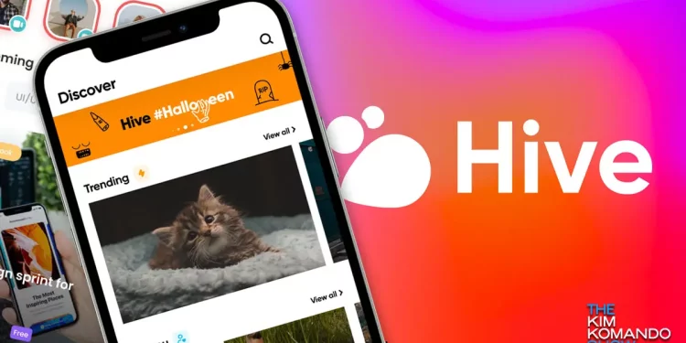 Twitter Alternatifi Hive’de Açık Çıkınca, Sunucuları Bir Kaç Gün Kapatıldı