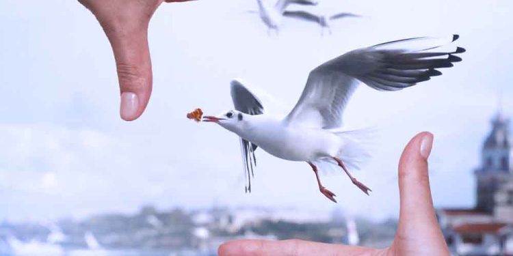Sevgilim İstanbul Fotoğraf Yarışması Başladı