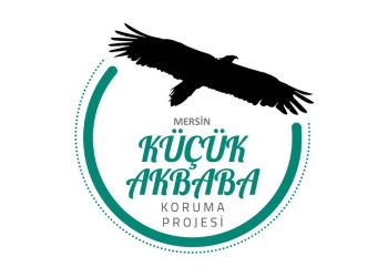 Vaillant, Küçük Akbabaları Koruma Projesi’nde 2022 Yılında Farkındalık Çalışmalarına Odaklandı