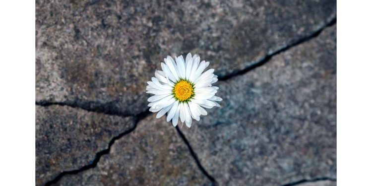 Depremzede İşsiz Kalmasın Projesi Başladı