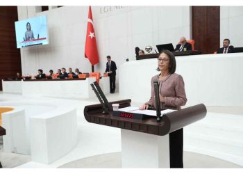Oya Ersoy: ” Hatay’da İçerisinde Silahlı Kişilerin Bulunduğu Plakasız Araçlar Kime Ait? Araçların Plakaları Neden Söküldü?”