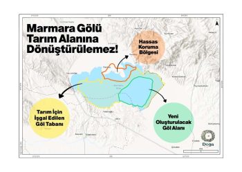 Kuş Cenneti Marmara Gölü Tarım Alanına Dönüştürülüyor