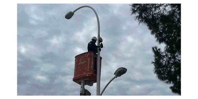 Sokak Lambaları Kuşların Yeni Yuvası Oldu