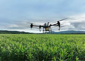 DJI T40 ile Günde 2000 Dekara Varan İlaçlama Yapılıyor