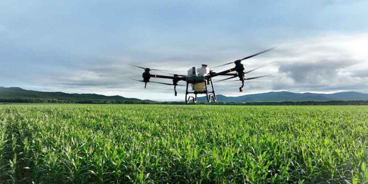 DJI T40 ile Günde 2000 Dekara Varan İlaçlama Yapılıyor