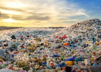 Plastikler Anne Karnına, İnsan Kanına Kadar Girdi