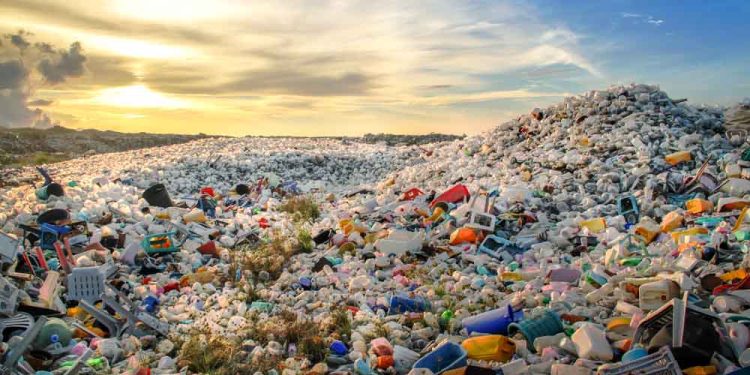 Plastikler Anne Karnına, İnsan Kanına Kadar Girdi
