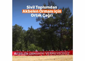 Akbelen Ormanı’nın Korunması İçin Sivil Toplum Kuruluşlarından Ortak Çağrı