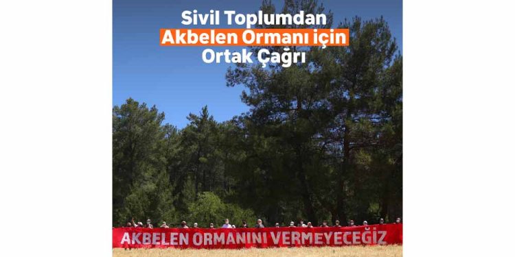 Akbelen Ormanı’nın Korunması İçin Sivil Toplum Kuruluşlarından Ortak Çağrı