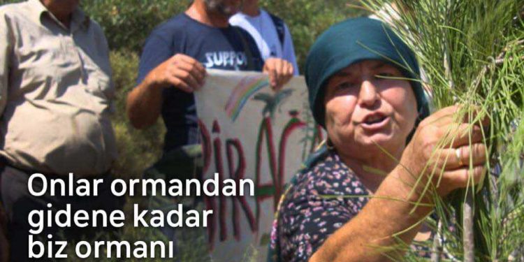 Akbelen Ormanı’na Sabah Baskını: Ağaç Kesimine Başlandı