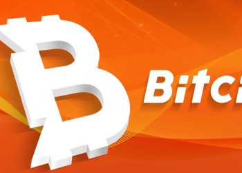 Bitci, 2023’ün İlk Yarısında Pazar Payını 13 Kat Artırdı