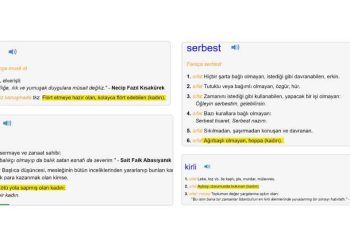 Change.org Mücadelesi Sonuç Verdi: TDK 4 Kelimenin Cinsiyetçi Anlamını Kaldırdı
