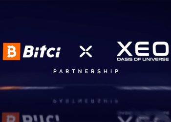 Bitci Borsa XEO İş Birliğiyle GameFi Ekosisteminin Geleceğine Yatırım Yapacak