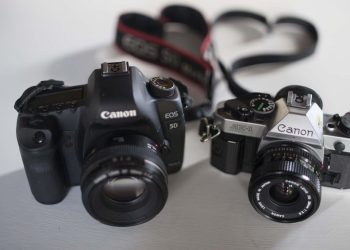 Canon Yaratıcılığı, Vizyonu Ve Anıları Yakalamanın Sanatını; Dünya Fotoğrafçılık Günü’nü Kutluyor