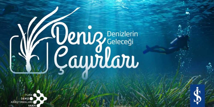 Marmara’nın Son Oksijen Deposu Kayıt Ve Koruma Altına Alınıyor