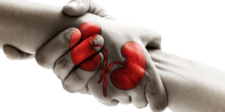 28.000 Kişi Organ Bekliyor