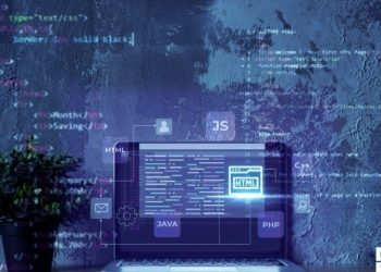 BT ve Yazılım Sektöründe Sürdürülebilirliği Kolaylaştıran Hizmet Modeli: “CTO as Service”