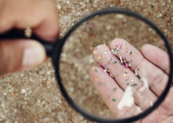 Mikroplastikler İçme Suyunda Hatta Sofra Tuzunda Bile Bulunuyor