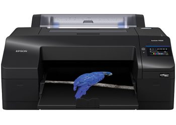 Epson, Sanatı Canlandıran Yazıcısını Tanıttı