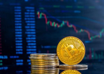 Kripto Borsasının Zarar Görmesi Halinde Dijital Varlıklar Nasıl Korunur?
