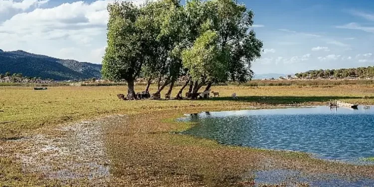 Sulak Alanlar için Olumlu Karar