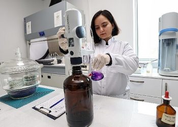 Nilüfer’de Tarıma Bilimsel Destek