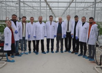 Konya, Jeotermal Topraksız Tarımın Üssü Oluyor