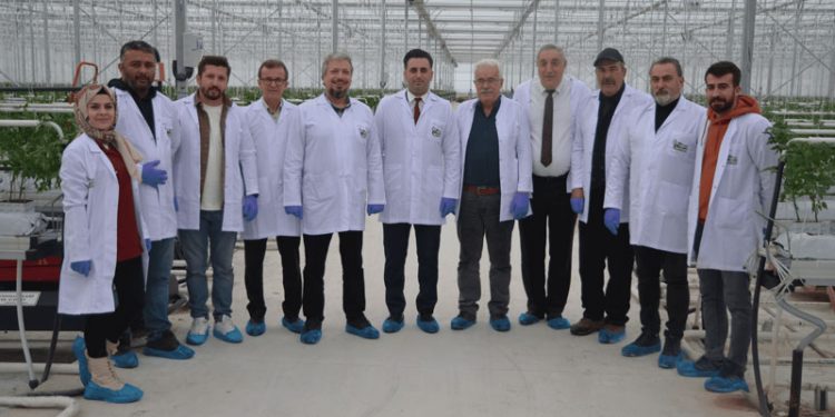 Konya, Jeotermal Topraksız Tarımın Üssü Oluyor