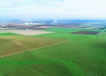 TEMA Vakfı 2023’ün Çevre Olaylarını Değerlendirdi