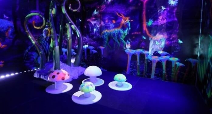 Türkiye’nin İlk Holografik Eğlence Parkı Katılım Emeklilik DigiZoo Kapılarını Açtı