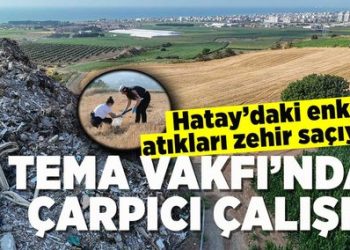 TEMA Vakfı’ndan Çarpıcı Çalışma: Hatay’daki Enkaz Atıkları Zehir Saçıyor