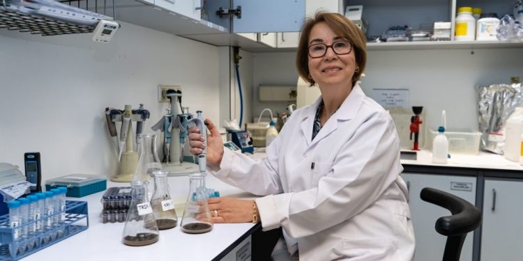Antibiyotikler ve Mikro-kirleticilerin Çevreye Yayılması Önleniyor
