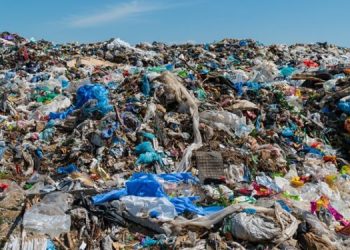 TEMA Vakfı’ndan Yerel Seçimler Öncesi Çağrı: “Doğal Afetlere Dirençli Kentler İstiyoruz“