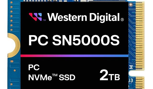 Western Digital Yeni İstemci SSD’yi Duyurdu