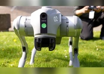Çin Yapay Zekâlı Robot Köpek Tanıttı