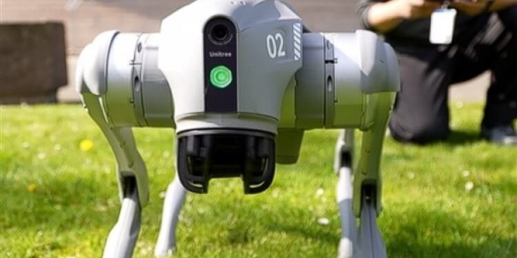 Çin Yapay Zekâlı Robot Köpek Tanıttı