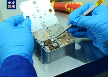 Çinli Taykonotlar, Uzay Dışı Yaşama ait 31 Kg’lık Numune Getirdi