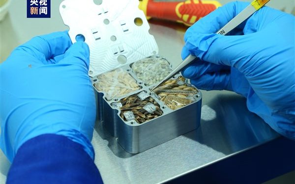 Çinli Taykonotlar, Uzay Dışı Yaşama ait 31 Kg’lık Numune Getirdi