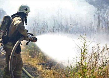 AKOM’dan Uyarı: Orman Yangını Riski Yüksek