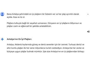 Google Trendler’e Göre Kurban Bayramı Tatil Planlamaları Başladı
